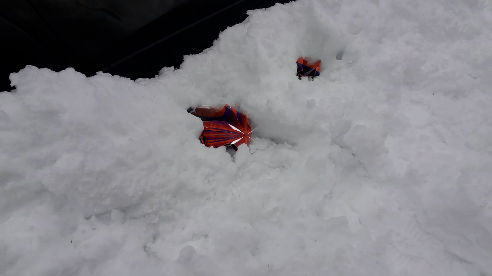 NaPoWriMo x NaPoGenMo Prompt Day 14 : MessageTothePast