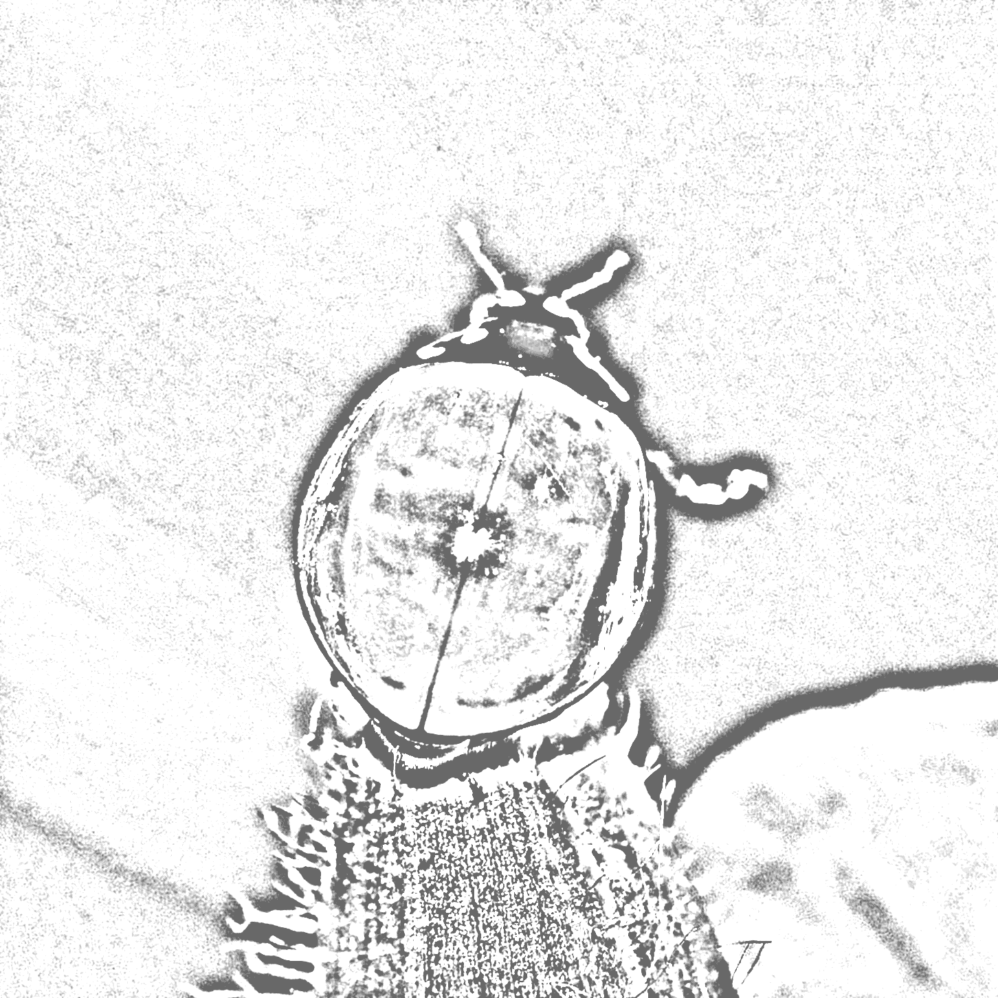 DecibelsChallenge_GlobalJukeBox