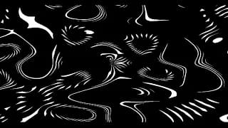 Genuary2023_BlackWhite