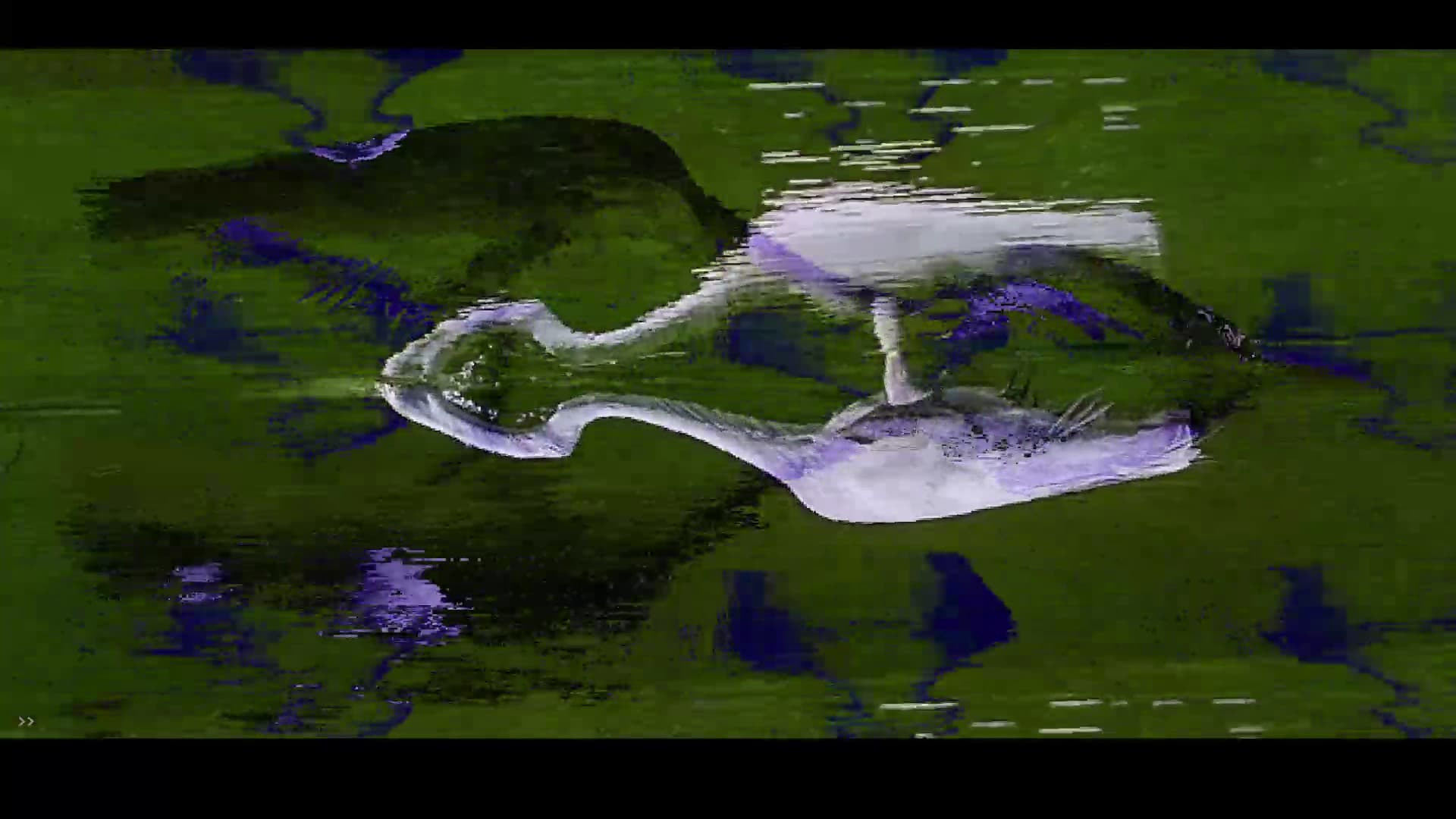 Genuary2023_HilmaAfKlint