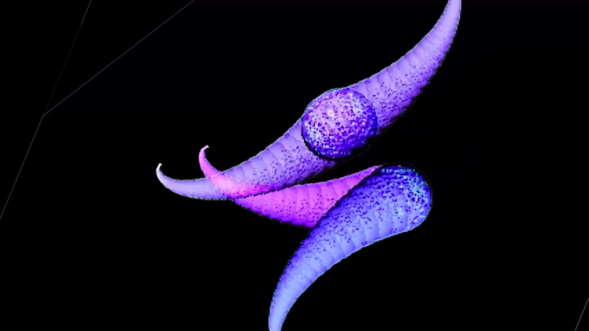 WCCChallenge: DigitalOrganism