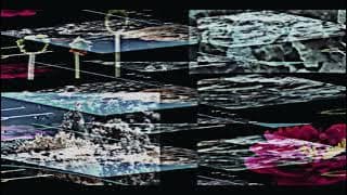 MinaCoding2023_Gratitude