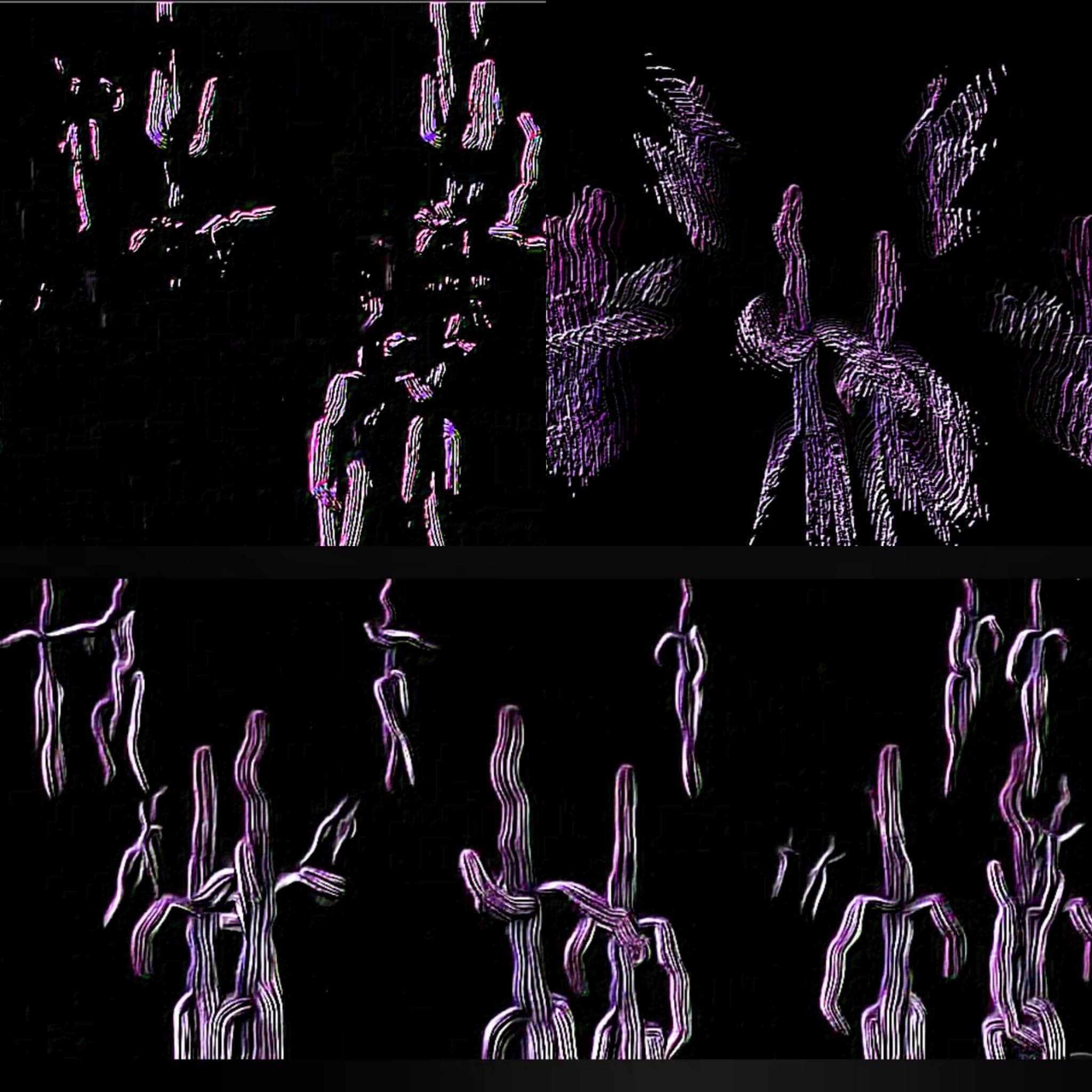 MinaCoding2023_Human_HeartTraits