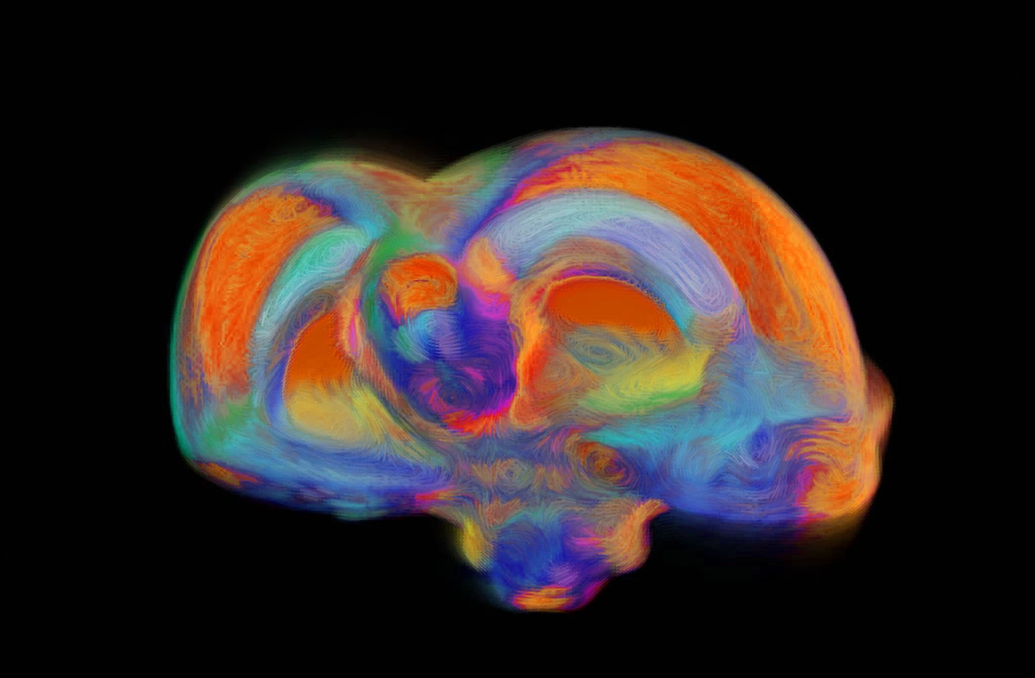 MinaCoding2023_Human_Planetary