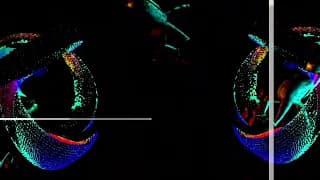 MinaCoding2023_Human_Movements