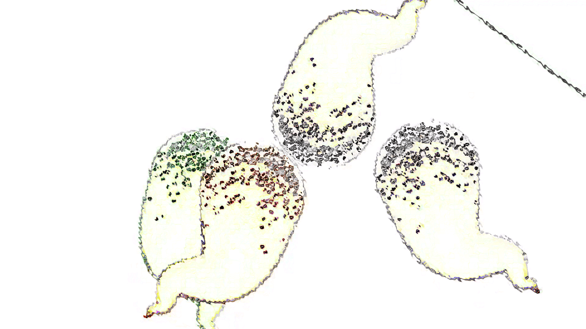 SciArtSeptember2023_Favorite
