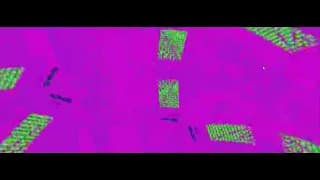 Genuary2024_Particle&Music