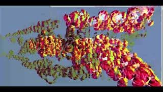 MinaCoding2024_Strong