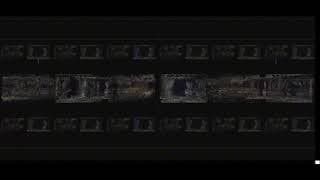 WCCC_ArchivalSurvival