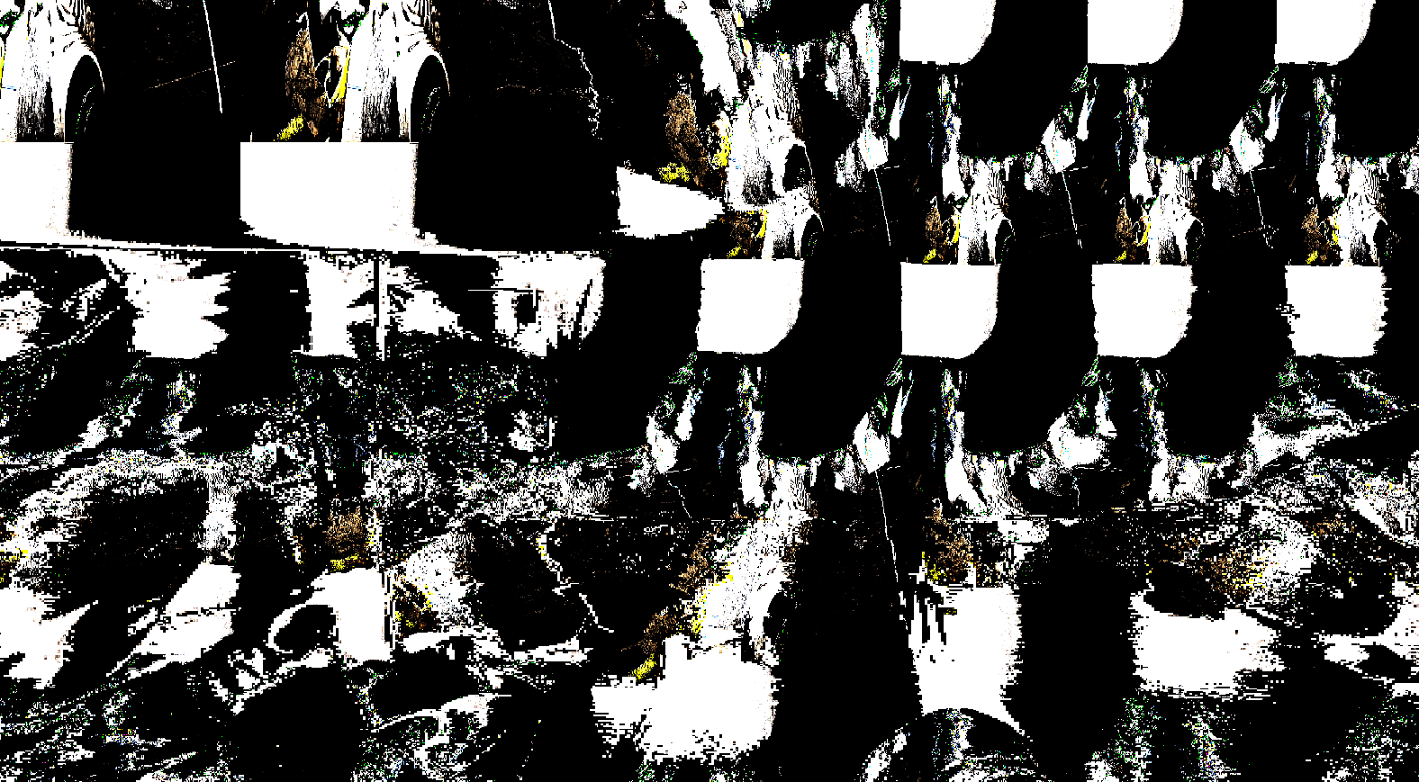 NaPoWriMo+GenMo2025_CodedTankas3