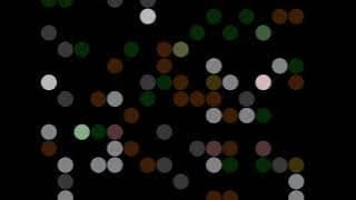 MinaCoding2025_Circles