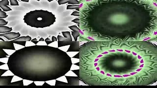 Mathober2025_Wheel+Domain