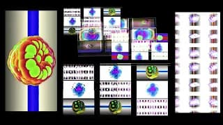 WCCCxGenuary2026_Organic