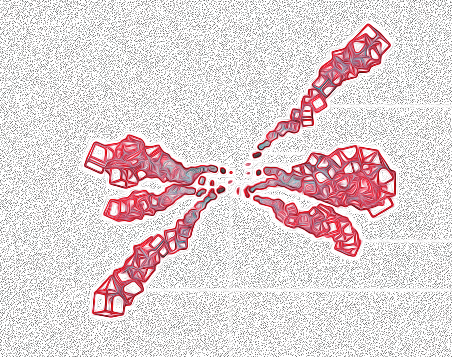 Genuary2026_RedBoxes