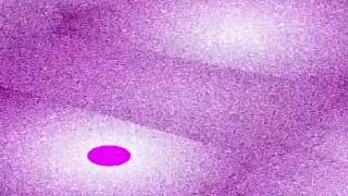 NaPoWriMo+GenMo2026_ Quatrain