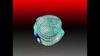MinaCoding2026_GlitchyMoves